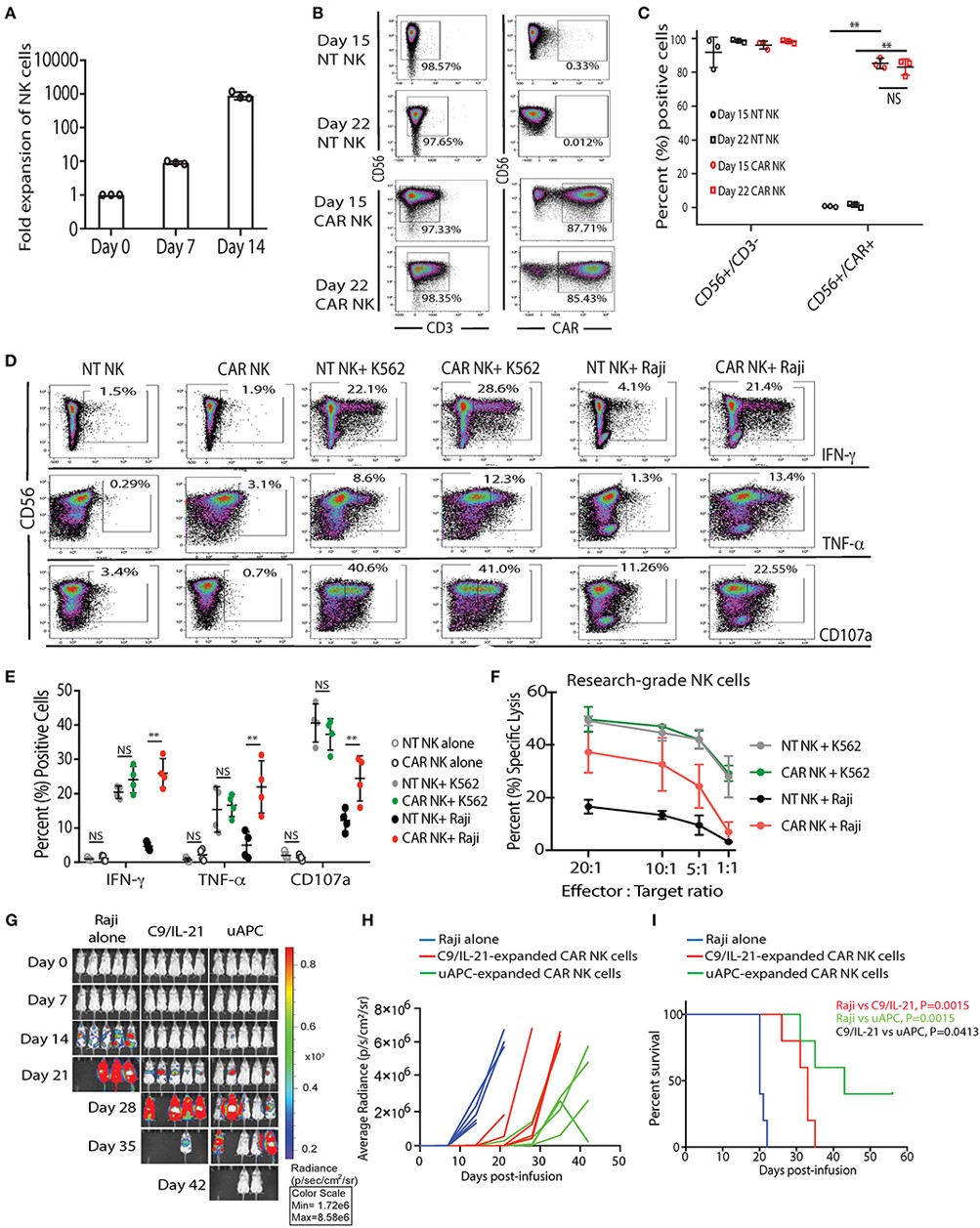 Fig.3 Universal T cell stimulator promotes the proliferation and cytotoxicity of research-grade NT and iC9/CAR19/IL-15 NK cells.