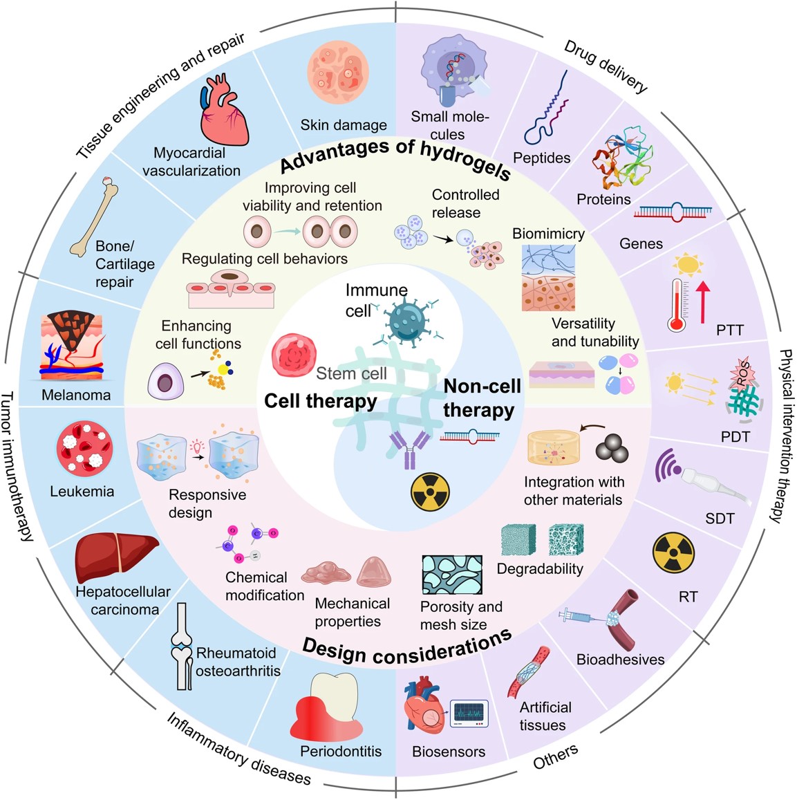 Fig.1 Schematic for applications of hydrogels in cell therapies and non-cell therapies.