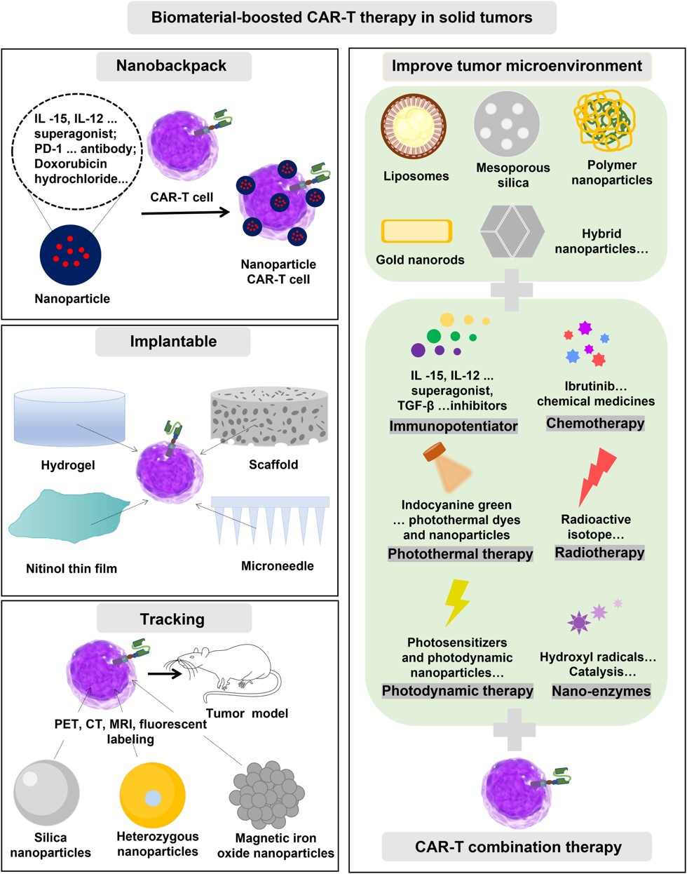 Fig.1 Several forms of biomaterials promote CAR-T therapy for solid tumors.