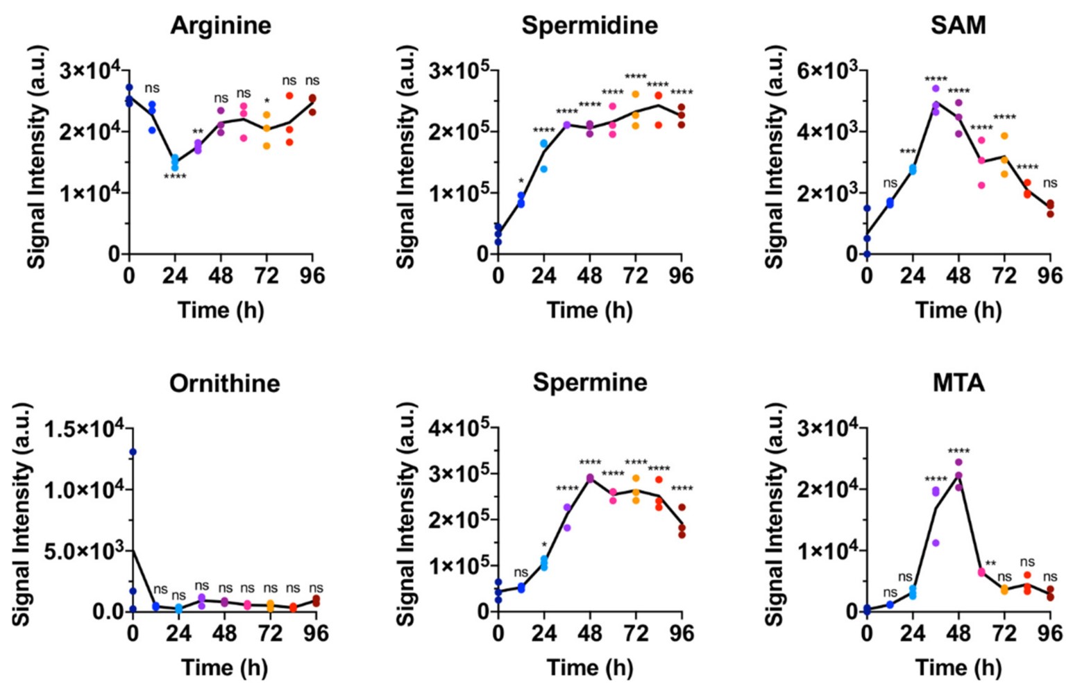Fig.2 Time courses of key metabolites in polyamine biosynthesis. (OA Literature)