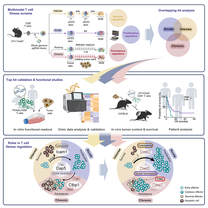 Fig.1 Advantages. (Creative Biolabs Original)