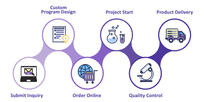 Fig.2 Workflow. (Creative Biolabs)