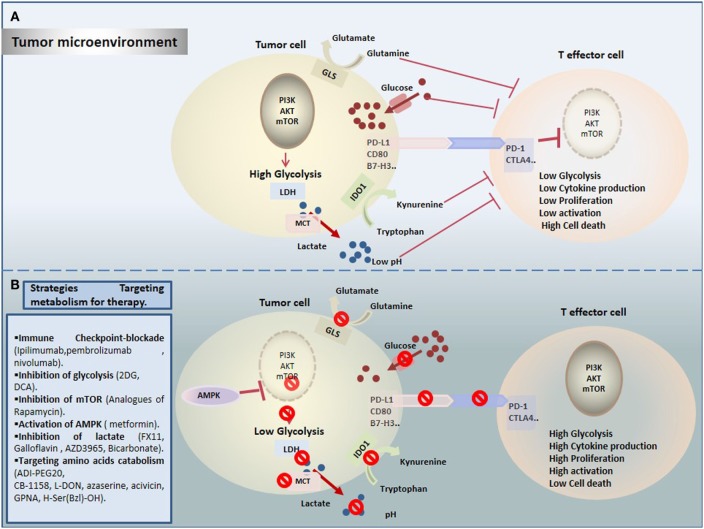 Fig.1 Schematic diagram. (OA Literature)