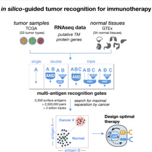 Computational pipeline for identifying antigen pairs with improved tumor discrimination