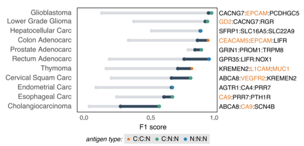 Novel antigens identified that form high-performing pairs with numerous current clinically targeted CAR antigens.