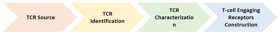 Flowchart of our CellRapeutics TCR discovery