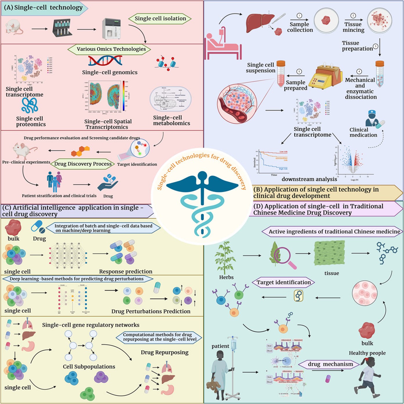 Fig.1 Application of single-cell technology in drug development. (OA Literature)