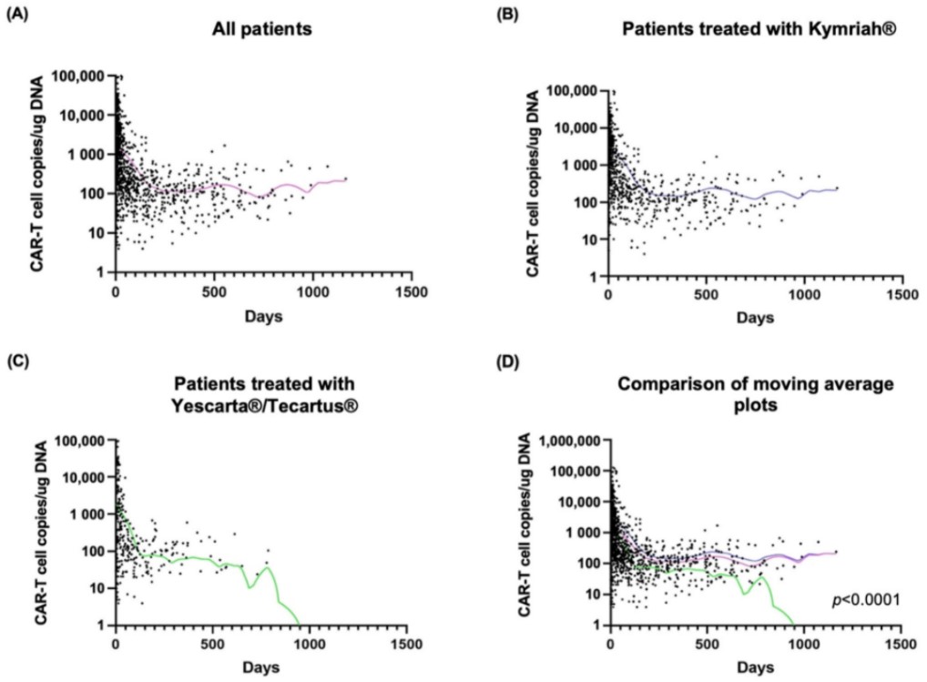 Fig.4 CAR-T cell persistence with time was assessed by ddPCR. (Wittibschlager, et al., 2023)
