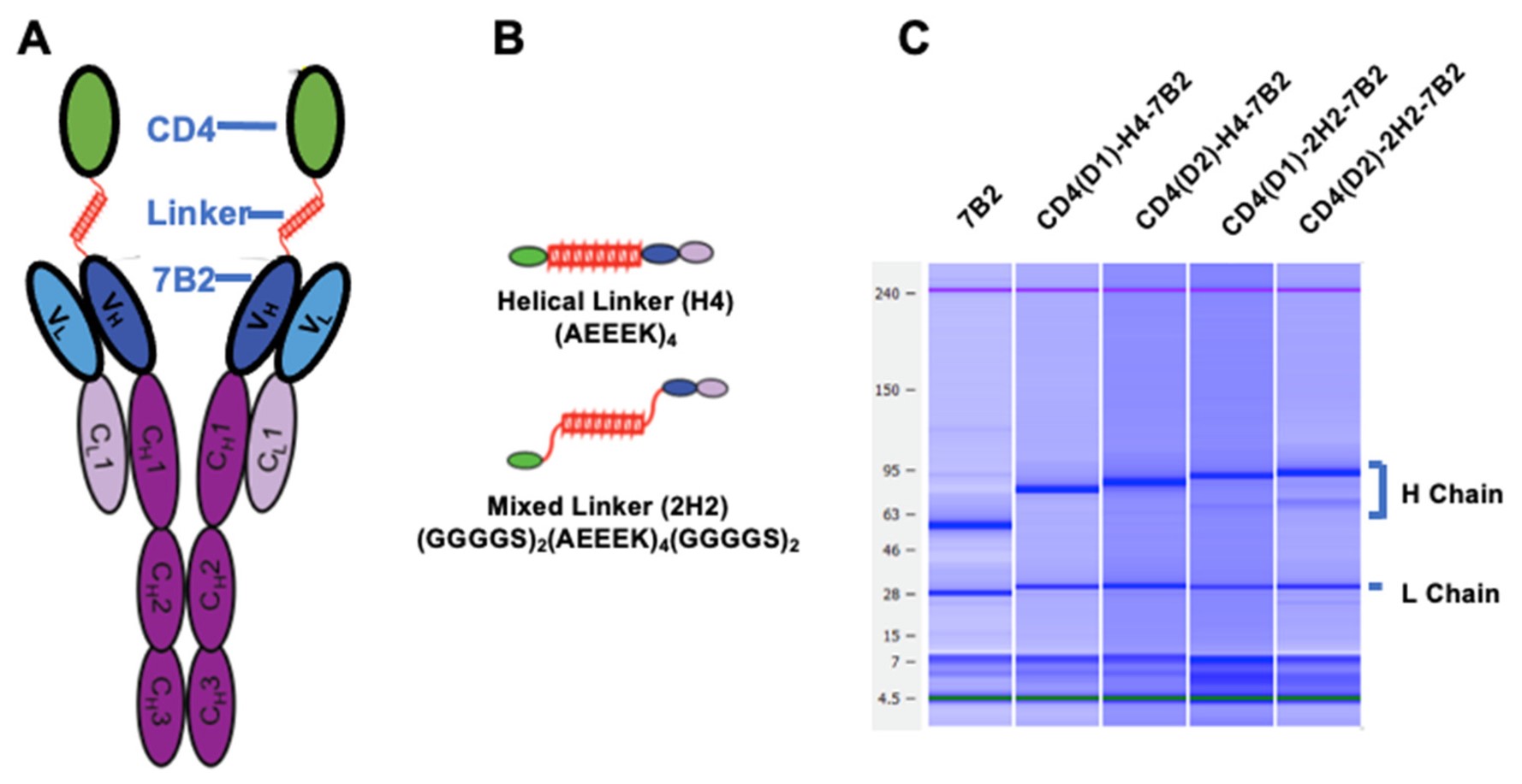 Fig.1 The application of plant-based expression systems against SARS-CoV-2 virus pandemic. (OA Literature)