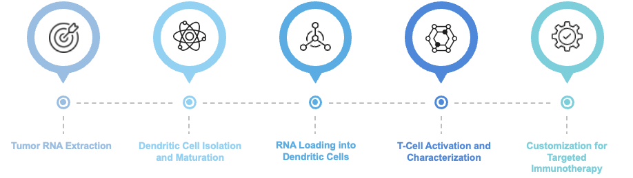 Fig.2 Workflow of this service. (Creative Biolabs Original)