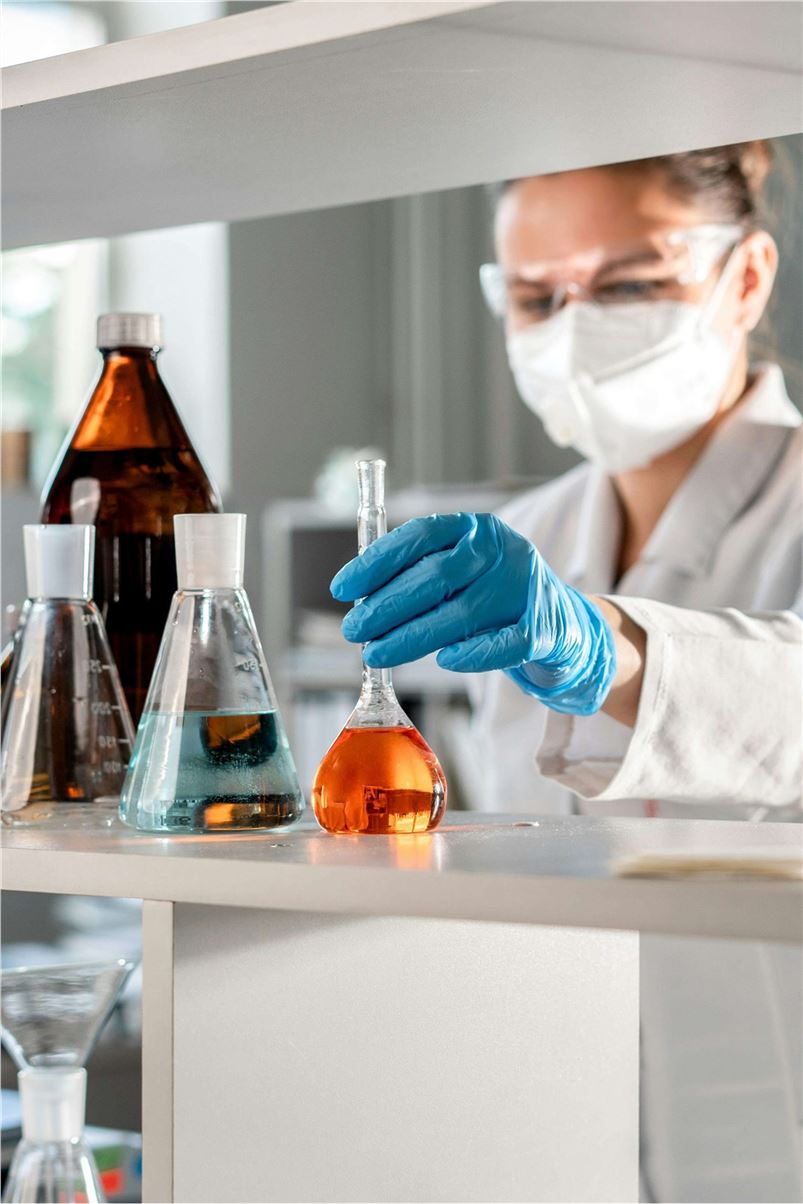 Fig.1 Tumor lysate pulsed dendritic cell. (Creative Biolabs Original)