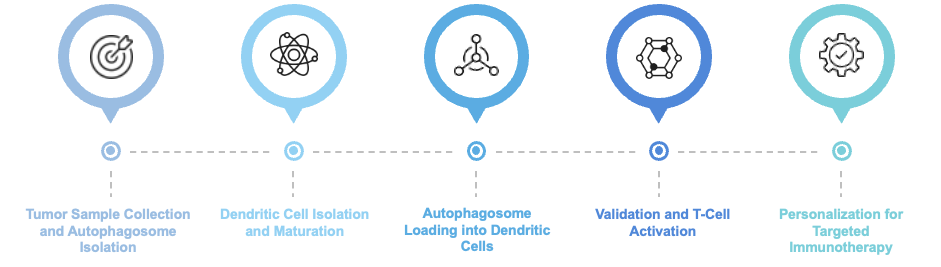 Fig.2 Workflow of this service. (Creative Biolabs Original)