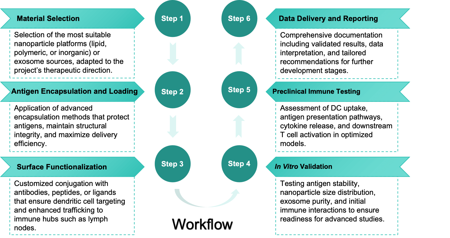 Operational Workflow of Dendritic Cell (DC)–Targeted Nano-Antigen Delivery Development Services (Creative Biolabs Original)