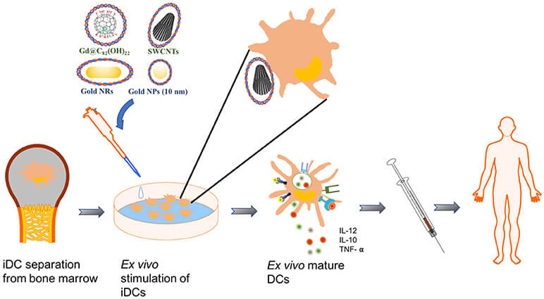 Illustration of a representative approach employing nanoparticles for dendritic cell–driven immunotherapy. (OA Literature)