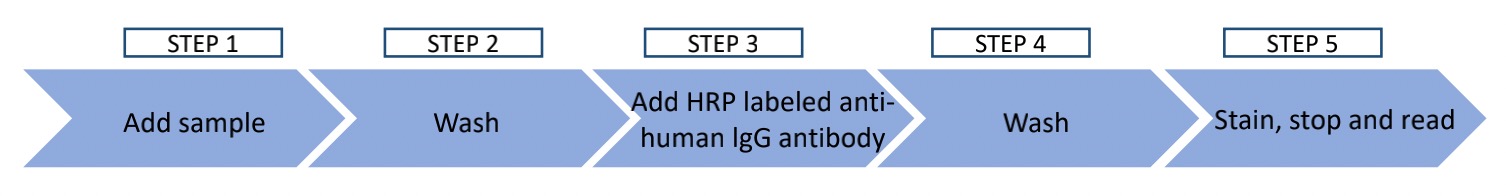 Steps of AT1R assay. (Creative Biolabs Original)