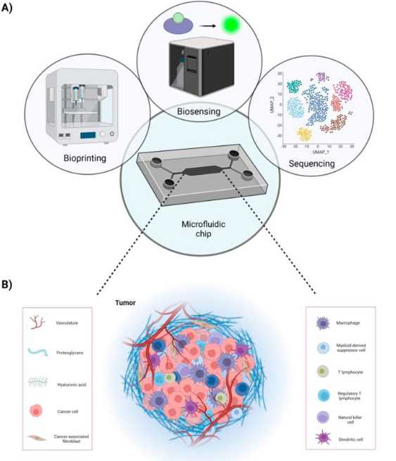 Fig.1 Microfluidic chips allow for the adoption of a more holistic approach in modeling the complex TME. (OA Literature)