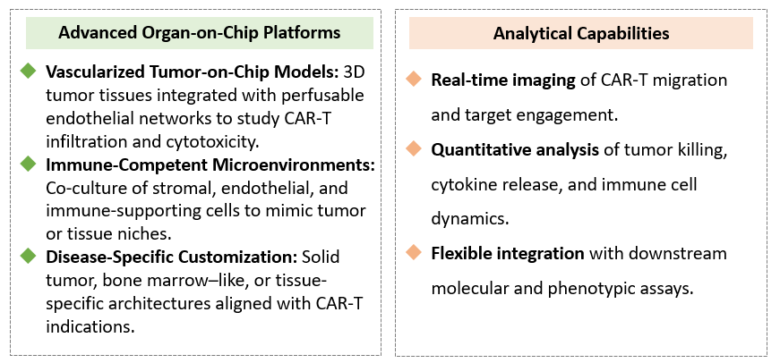Platforms of Vascularized Organ-on-Chip Customization. (Creative Biolabs Original)