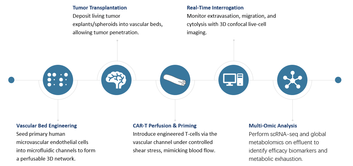 Workflow of Preclinical Trial-on-Chip Pediatric Oncology Model Customization. (Creative Biolabs Original)