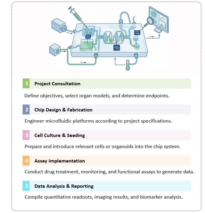 Workflow of Preclinical Trial-on-chip Infrastructure. (Creative Biolabs Original)