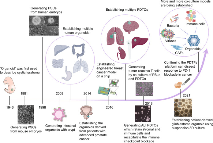 Fig.1 The evolution of organoid and multicellular culture platforms. (OA Literature)