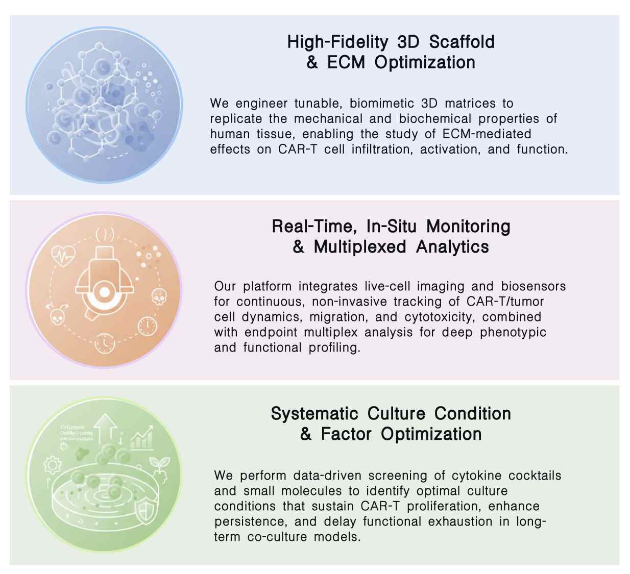 Featured services of preclinical trial-on-chip long-term culture model optimization service for CAR-T at Creative Biolabs. (Creative Biolabs Original)