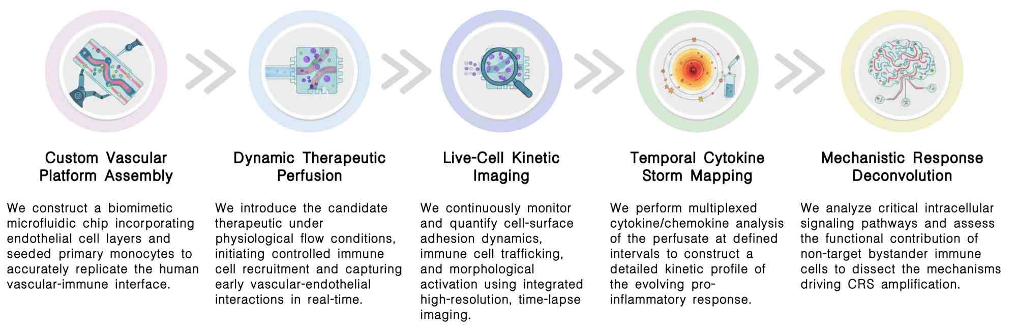 Workflow of preclinical trial-on-chip-based CRS assessment service at Creative Biolabs. (Creative Biolabs Original)
