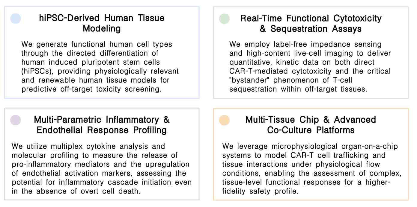 Featured services of CAR-T OTOT toxicity assessment service at Creative Biolabs. (Creative Biolabs Original)