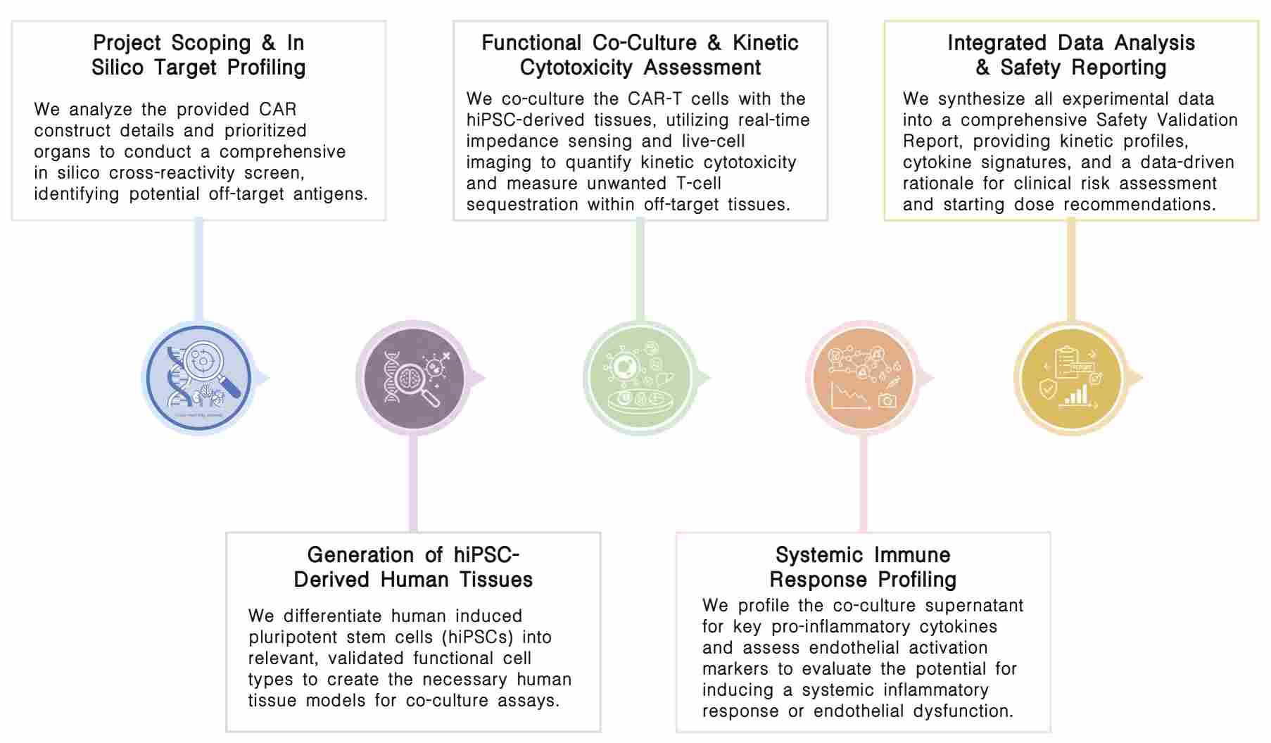 Workflow of CAR-T OTOT toxicity assessment service at Creative Biolabs. (Creative Biolabs Original)