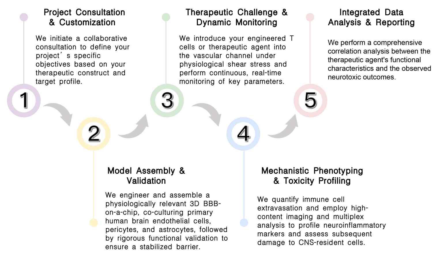 Workflow of CAR-T OTOT toxicity assessment service at Creative Biolabs. (Creative Biolabs Original)