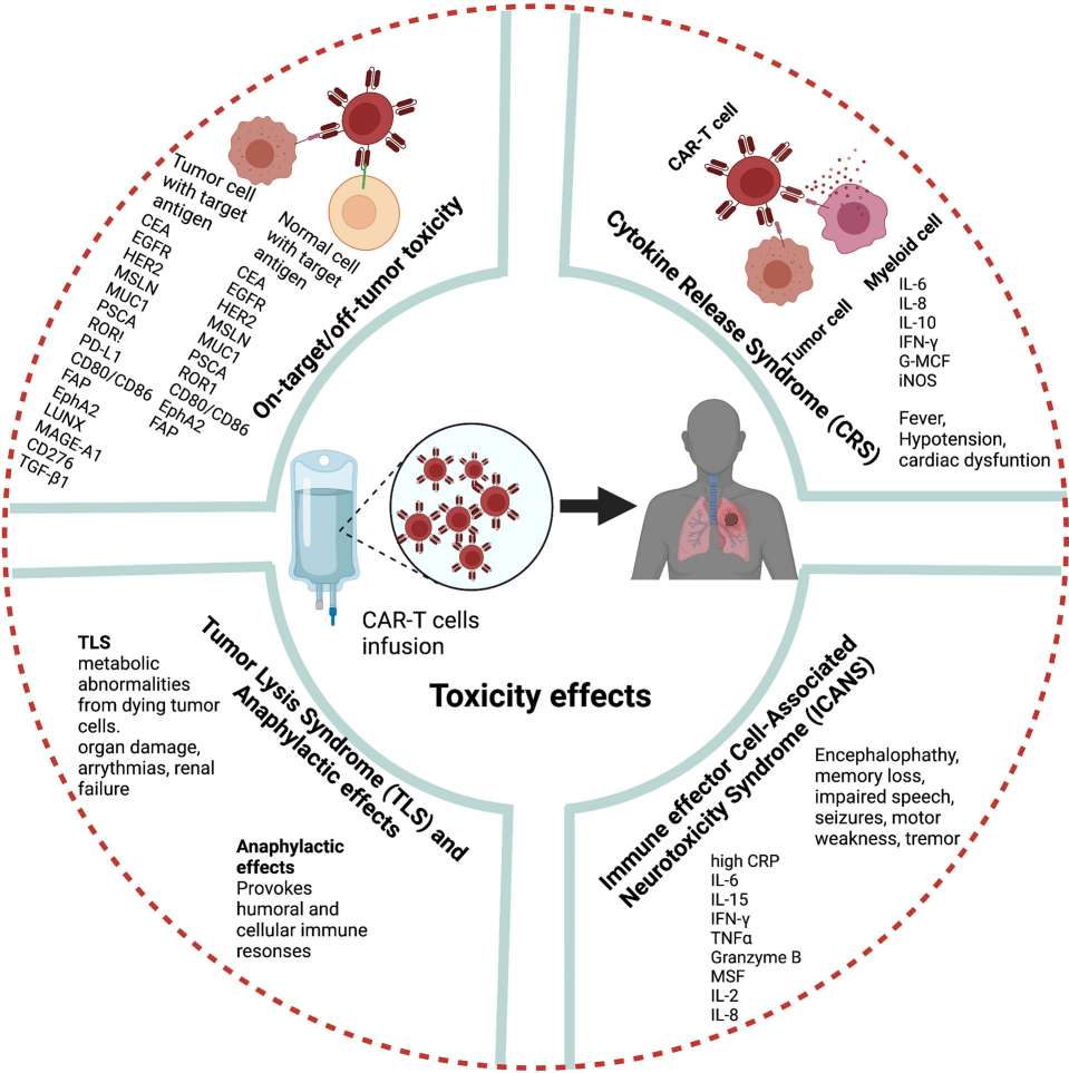 Fig.1 Toxicity barriers in CAR-T immunotherapy. (OA Literature)