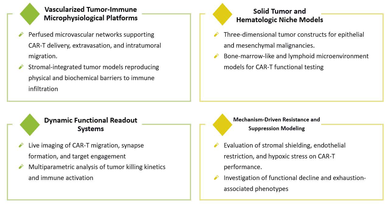 Platform of Preclinical Trial-on-Chip Powered CAR-T Development. (Creative Biolabs Original)