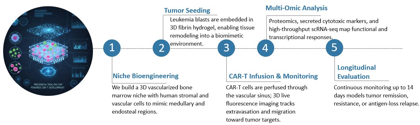 Workflow of Preclinical Trial-on-Chip Powered CAR-T Development. (Creative Biolabs Original)