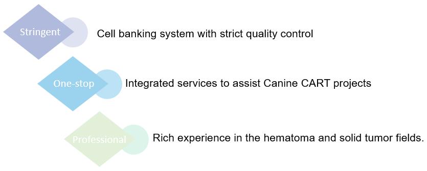 Canine CAR-T Engineering Service