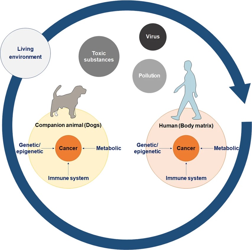 Fig.1 Similar exposure environments among companion animals and humans. (Oh & Je-Yoel Cho, 2023)
