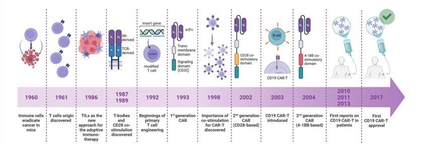Fig.1 Timeline for the development of CAR T. (OA Literature)