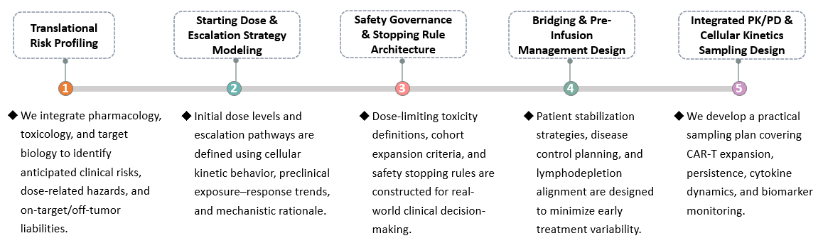 Workflow of First-in-Human Strategy Design for CAR-T Development. (Creative Biolabs Original)