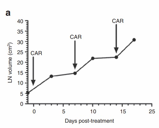 In vivo functional evaluating cCD20-ζ CAR-T in dogs with spontaneous cancer.