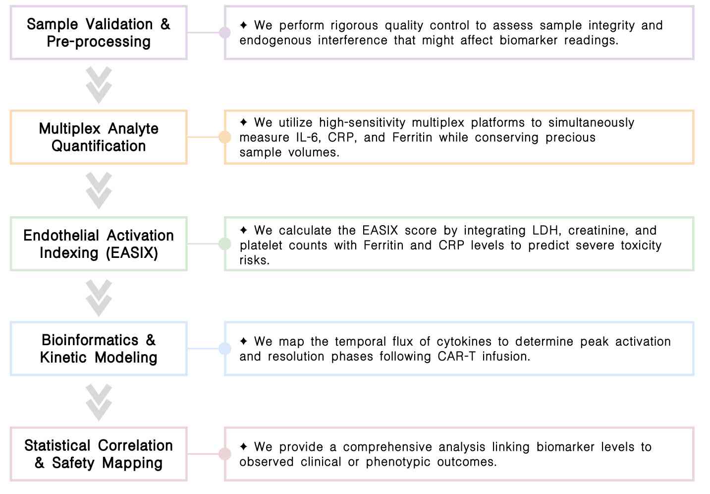 Workflow of cytokine & biomarker profiling service for CAR-T development at Creative Biolabs. (Creative Biolabs Original)