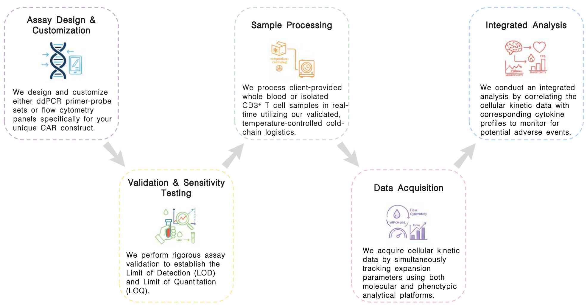 Workflow of real-time bioanalysis services for CK at Creative Biolabs. (Creative Biolabs Original)