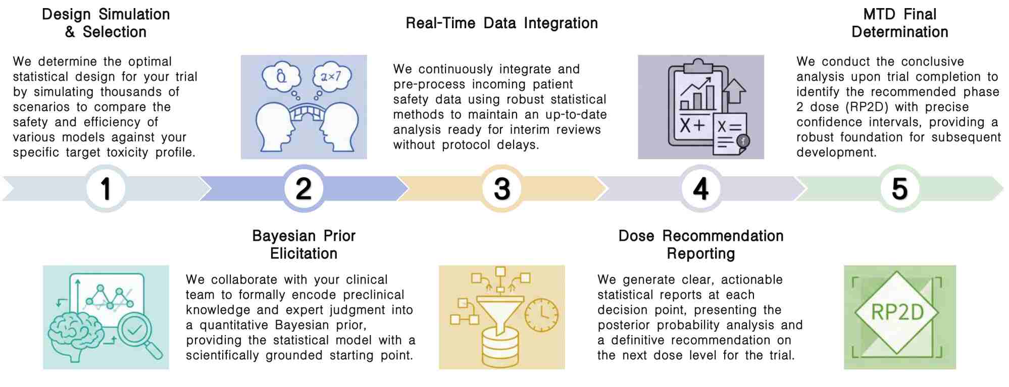 Workflow of biostatistics support service for real-time DLT analysis at Creative Biolabs. (Creative Biolabs Original)
