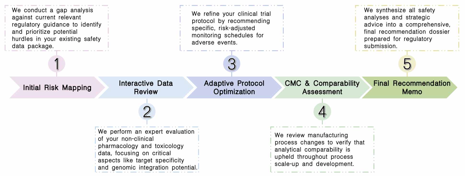 Workflow of adaptive safety review & recommendation services at Creative Biolabs. (Creative Biolabs Original)