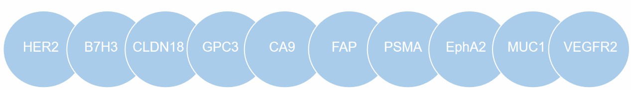 Canine CAR-T Development Service for Solid Tumor