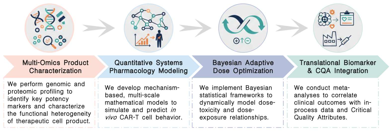 Workflow of data driven dose escalation & translational analysis services for CAR-T development at Creative Biolabs. (Creative Biolabs Original)