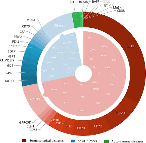 Distribution of CAR-T target types and numbers in diseases. (OA Literature)