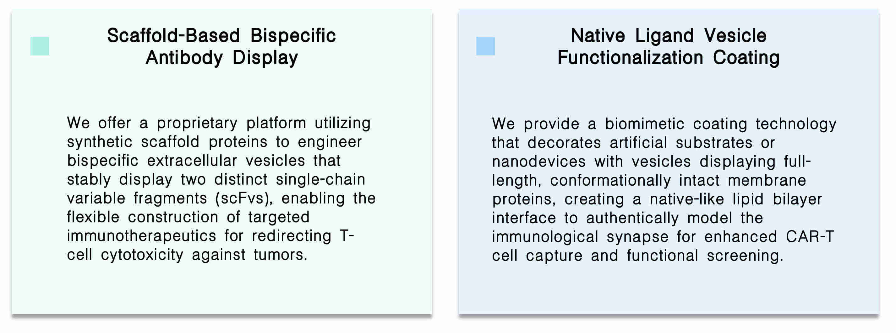 Featured services of construction of bispecific vesicles for artificial CAR-T immunological synapse at Creative Biolabs. (Creative Biolabs Original)