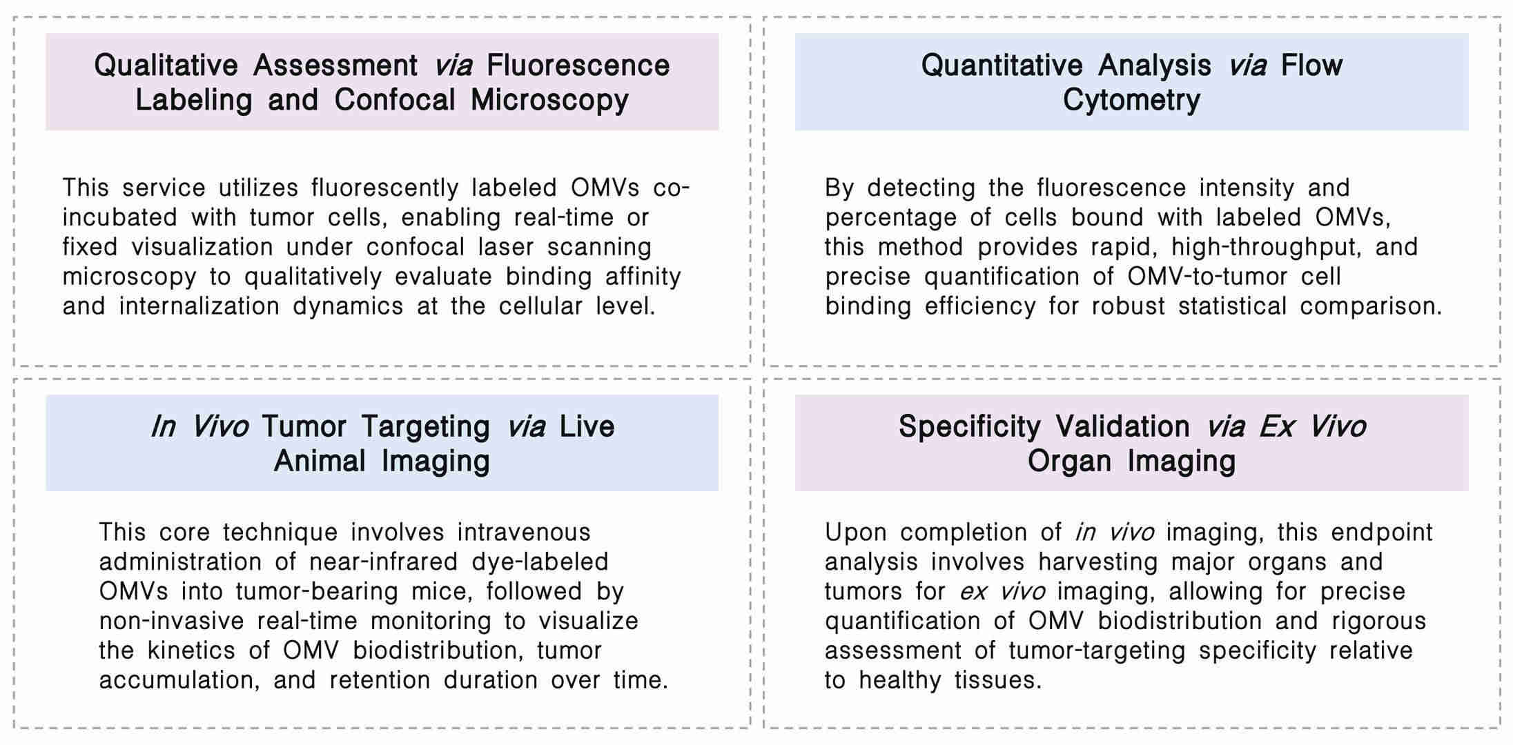 Featured services of validation of OMV-to-tumor binding kinetics for CAR-T guidance at Creative Biolabs. (Creative Biolabs Original)
