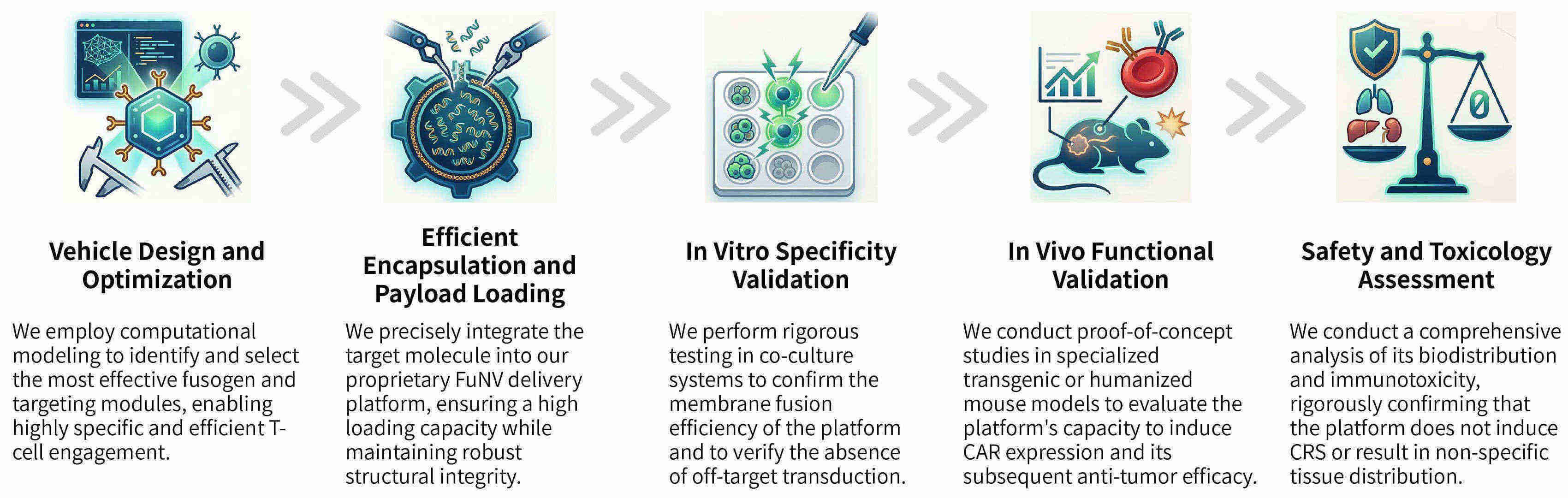 Workflow of enhanced membrane fusion & delivery platforms for CAR-T target induction at Creative Biolabs. (Creative Biolabs Original)