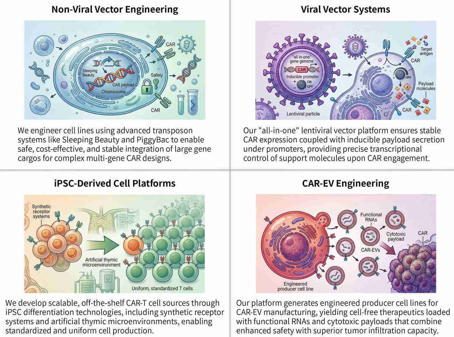 Featured services of customized cell line development for optimized CAR-T support secretion at Creative Biolabs. (Creative Biolabs Original)