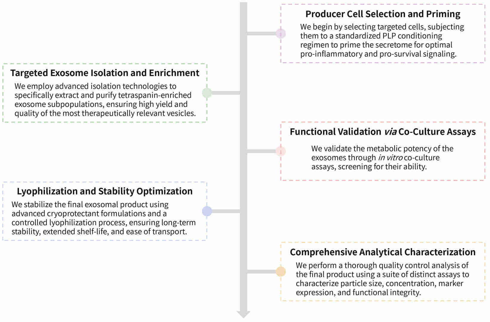 Workflow of metabolic pre-conditioning for pro-survival CAR-T support exosomes at Creative Biolabs. (Creative Biolabs Original)