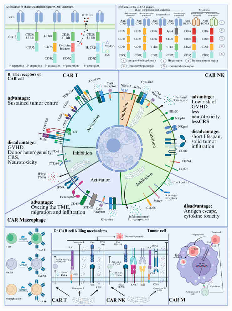 Fig.1 CAR cell-derived exosomes: versatile nanoplatforms for anticancer therapy and targeted delivery. (OA Literature)